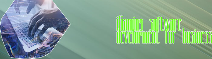 Casino online business software development