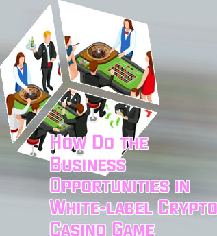 Casino software development examples