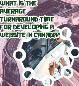 Gamble professional website development services