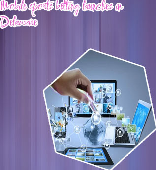 Gamble web and mobile development company