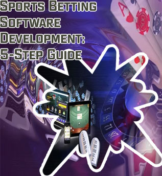Gambling software project agency