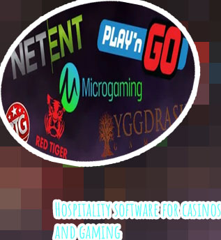 Gaming software providers