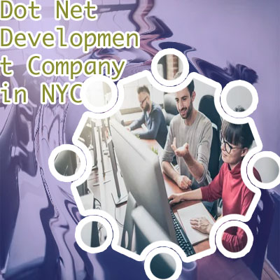Net development company