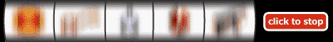 Slot Land Casino Software